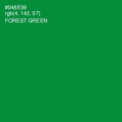 #048E39 - Forest Green Color Image